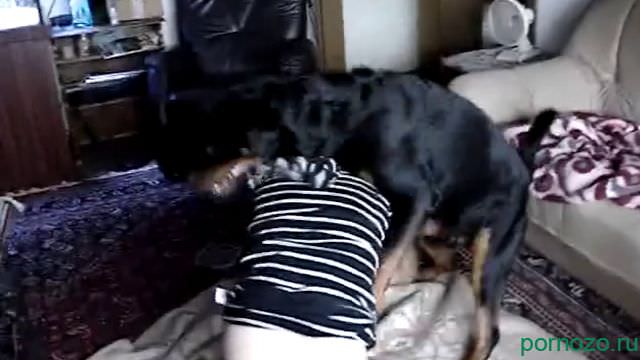 Private amateur animal sexvideo cheating wife with a dog in front of her husband online