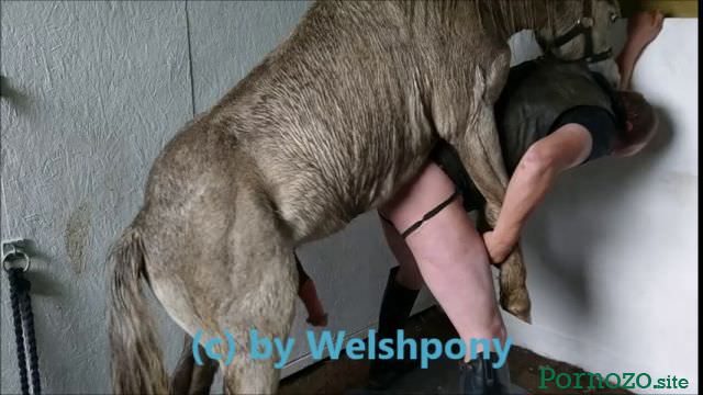 The horse has a man in anal, zoo mp4 video xxx