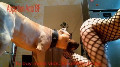 16 Appartien Amo - FrenchBliss 720p